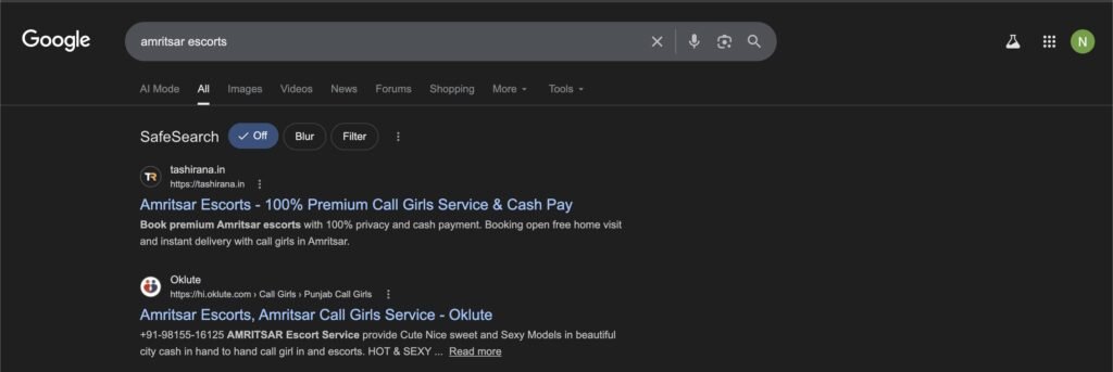Amritsar Escorts Service